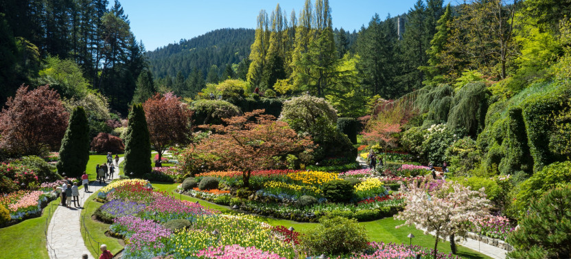 Victoria City Tour & Butchart Gardens from Vancouver