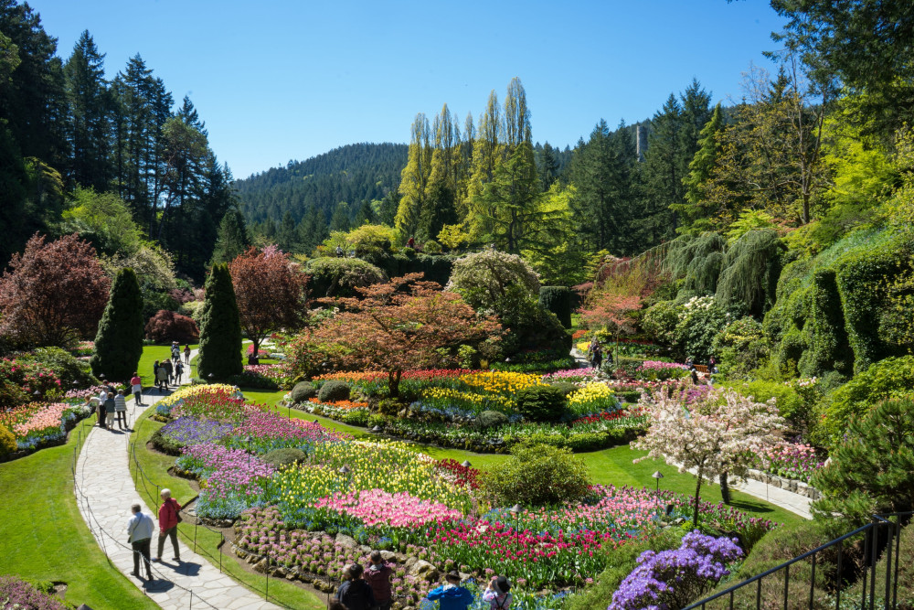 Victoria City Tour & Butchart Gardens from Vancouver