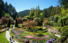 Discover Canada Tours1