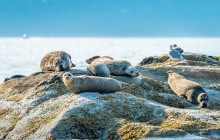 Discover Canada Tours7