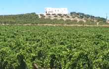 Tour of Sicily3