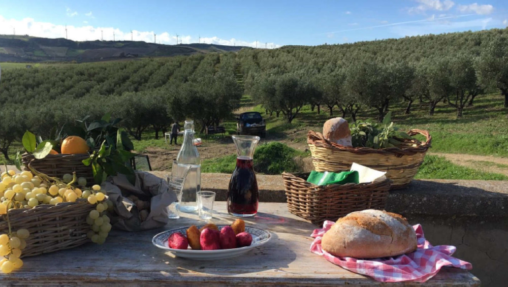 Selinunte with Lunch at a Local Farmhouse (from Sciacca)