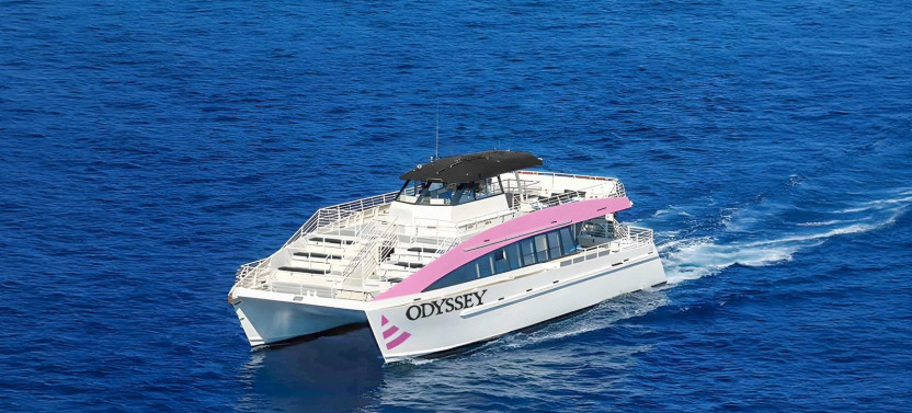 Friday Night Fireworks (Odyssey)