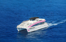 Pink Sails Waikiki1