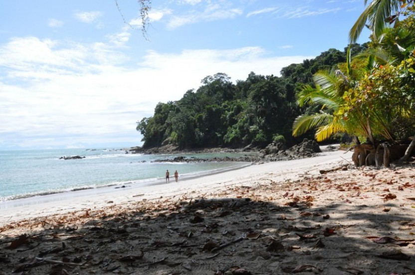 Manuel Antonio National Park guided tour