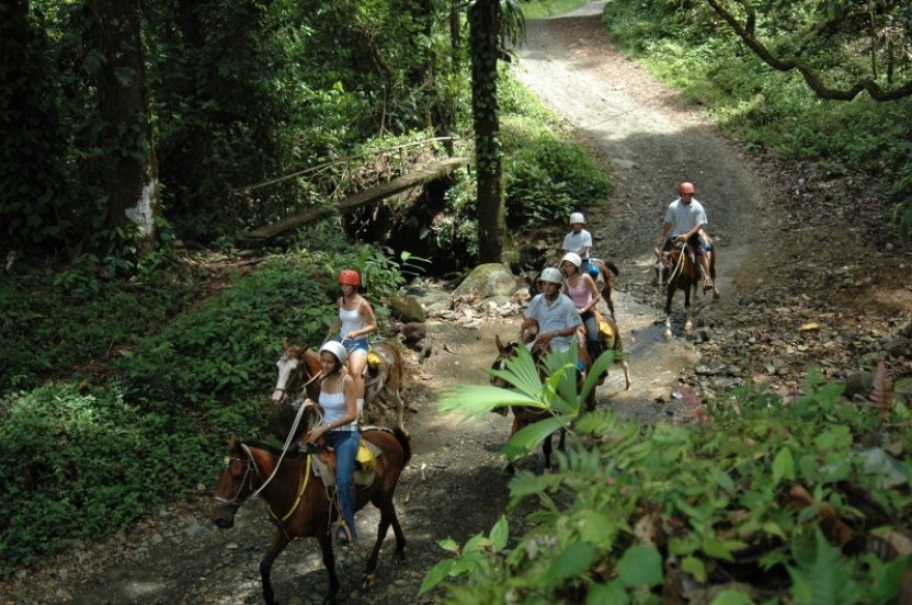 Horseback Riding Tour
