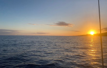 OceanEye Azores9