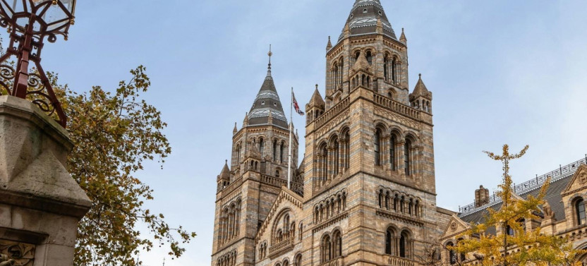 London: Natural History Museum Reserved Entry & Audio Guide