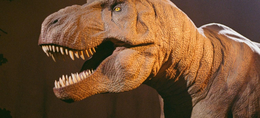 London: Natural History Museum Reserved Entry & Audio Guide