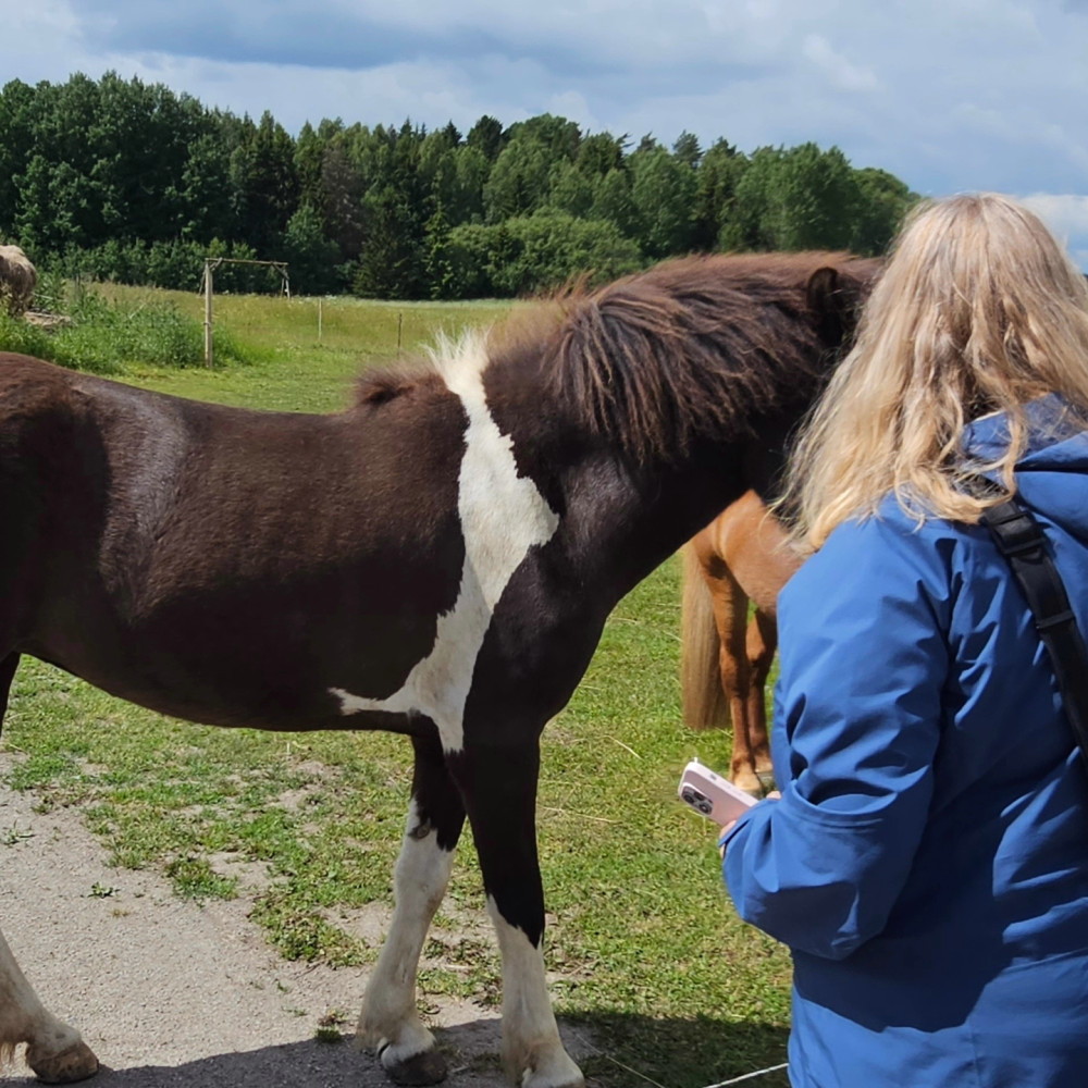 From Stockholm: Swedish Food and Fika, Countryside Shops and Icelandic Hors
