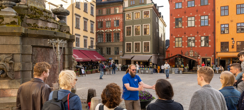 Private Guided Scenic 8h Stockholm Sightseing Drive with Museum, Photo Stop