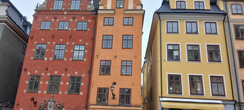 Private Guided Scenic 8h Stockholm Sightseing Drive with Museum, Photo Stop