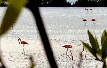 Curaçao Fascinating Tours5