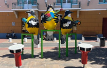 Curaçao Fascinating Tours12