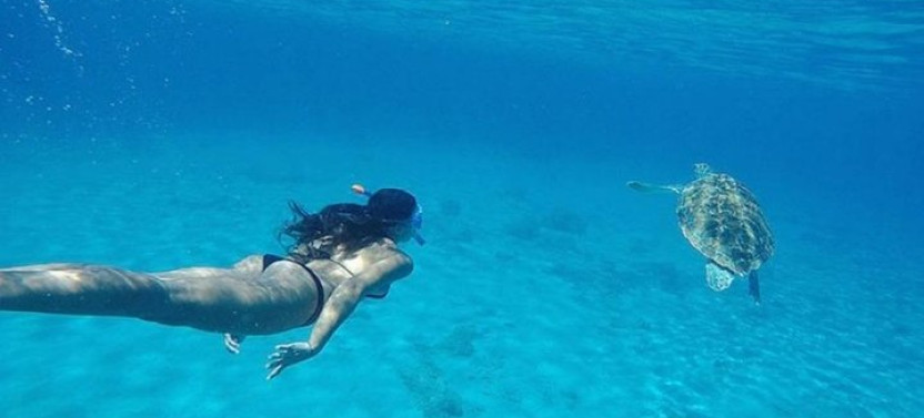 Curaçao Nature Lovers Tour