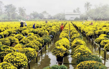 THE SUN CONSTRUCTION AND TOURIST SERVICE CO., LTD2