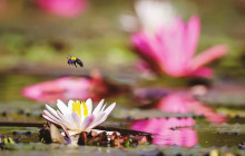 THE SUN CONSTRUCTION AND TOURIST SERVICE CO., LTD7