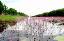 THE SUN CONSTRUCTION AND TOURIST SERVICE CO., LTD8