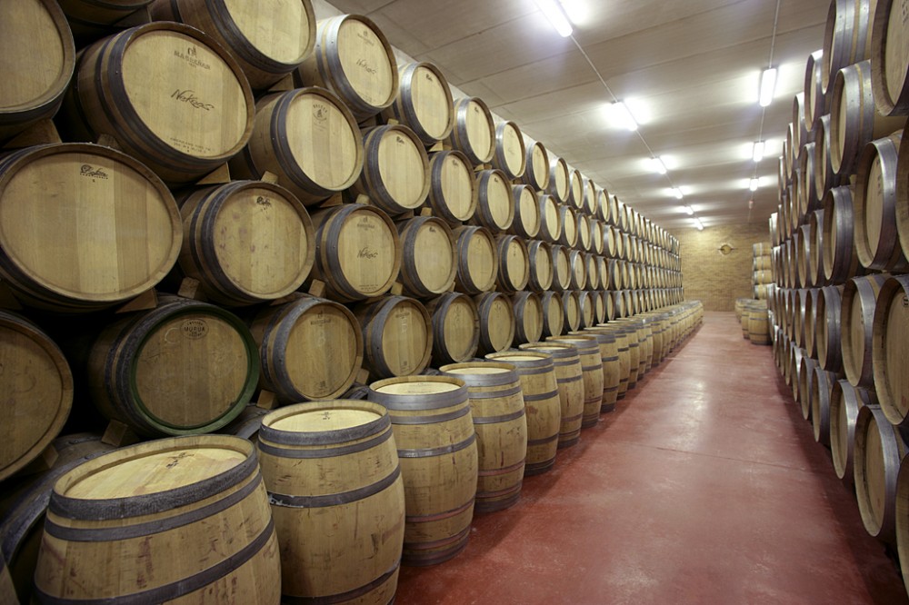 Olive Oil Mill experience And Winery Visit In Navarre With Lunch San