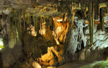 Ellis Tours & Transfers Jamaica1