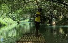 Ellis Tours & Transfers Jamaica5