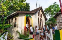 Ellis Tours & Transfers Jamaica2