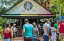 Ellis Tours & Transfers Jamaica3