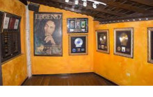 Ellis Tours & Transfers Jamaica6