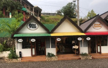 Ellis Tours & Transfers Jamaica7