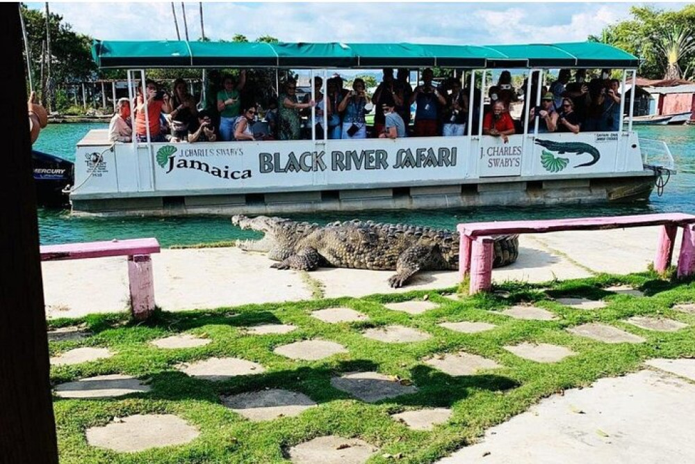 Montego Bay Excursion: Black River Safari Guided Tour & YS Falls Tour