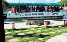 Ellis Tours & Transfers Jamaica2