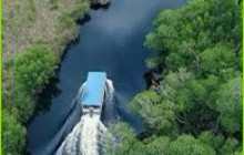 Ellis Tours & Transfers Jamaica4