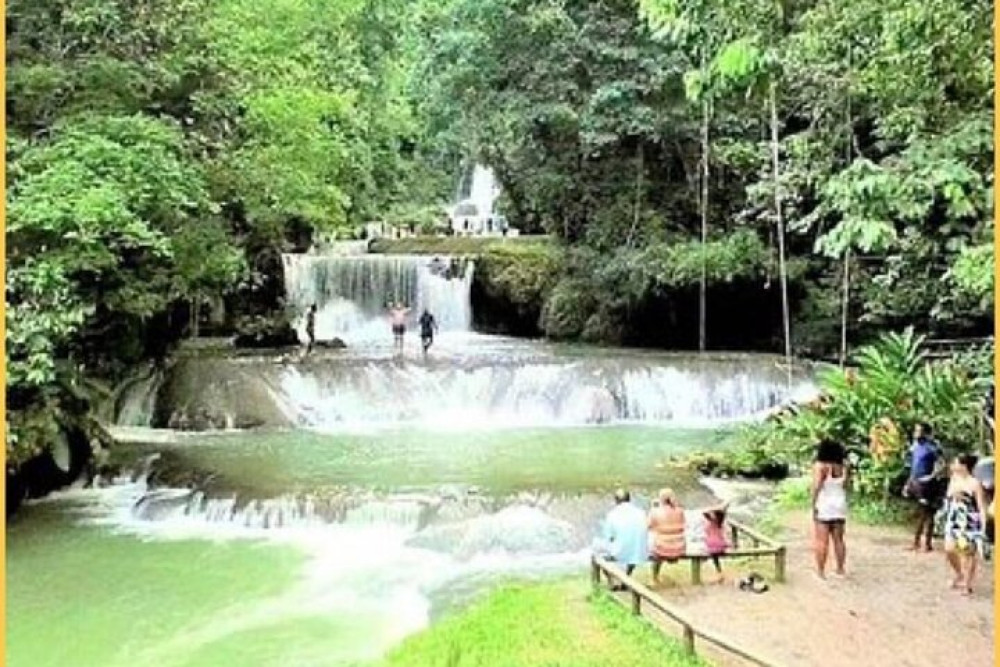 Black River Safari Guided Tour & YS Falls Tour