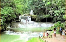 Ellis Tours & Transfers Jamaica1