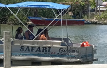 Ellis Tours & Transfers Jamaica9