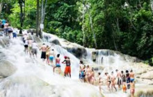 Ellis Tours & Transfers Jamaica3