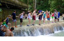 Ellis Tours & Transfers Jamaica4