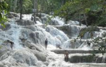 Ellis Tours & Transfers Jamaica1