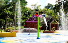 Ellis Tours & Transfers Jamaica6