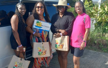 Ellis Tours & Transfers Jamaica8