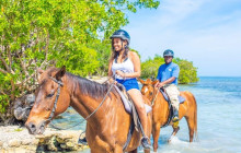 Ellis Tours & Transfers Jamaica1