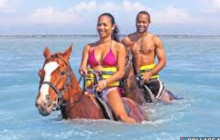 Ellis Tours & Transfers Jamaica5