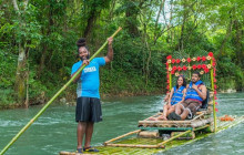 Ellis Tours & Transfers Jamaica11