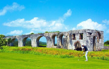 Ellis Tours & Transfers Jamaica2