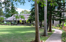 Ellis Tours & Transfers Jamaica4