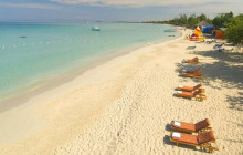 Ellis Tours & Transfers Jamaica1