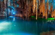 Ellis Tours & Transfers Jamaica8