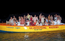 Ellis Tours & Transfers Jamaica9