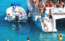 Ellis Tours & Transfers Jamaica3
