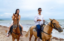 Ellis Tours & Transfers Jamaica5